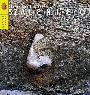 "Szaleniec" - powiększona okładka ksiazki